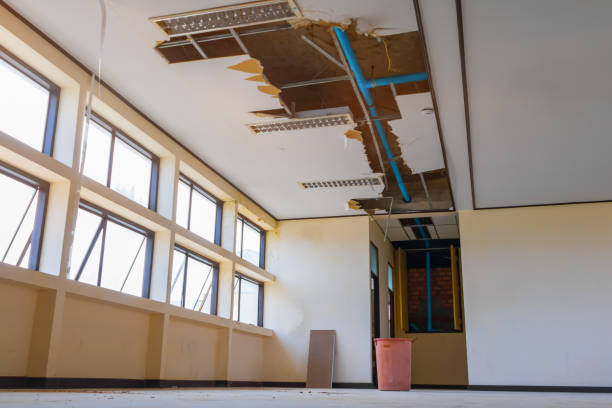 Water damage restoration experts in MN