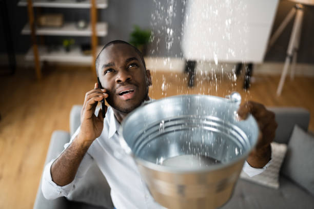Best Flood damage cleanup  in Mounds View, MN