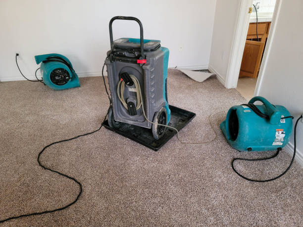 Best Ceiling water damage repair  in Mounds View, MN