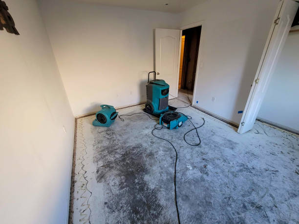 Best Water damage cleanup near me  in Mounds View, MN
