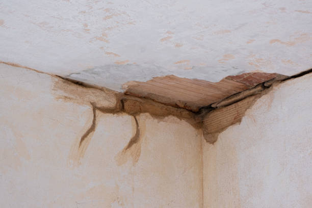 Best Flood restoration services  in Mounds View, MN