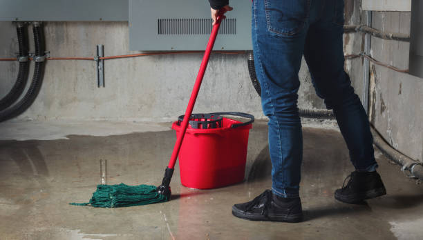 Best Professional water damage repair  in Mounds View, MN