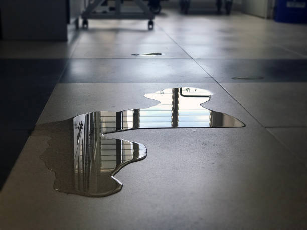 Best Local water damage restoration  in Mounds View, MN
