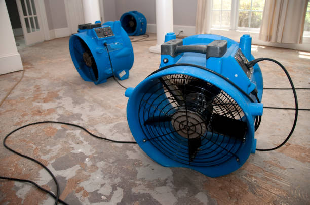 Best Flooded house restoration  in Mounds View, MN