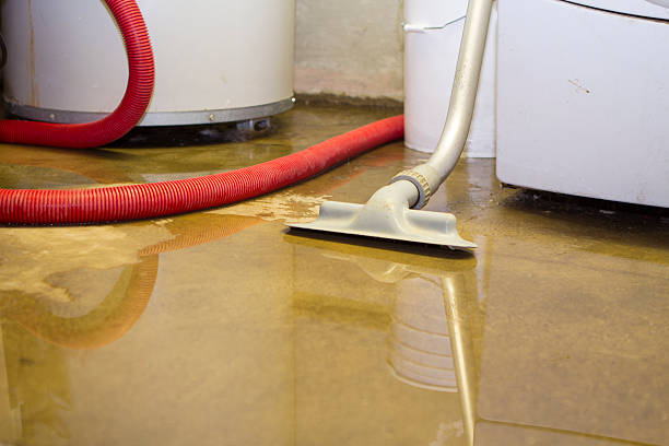 Best Water damage restoration near me  in Mounds View, MN