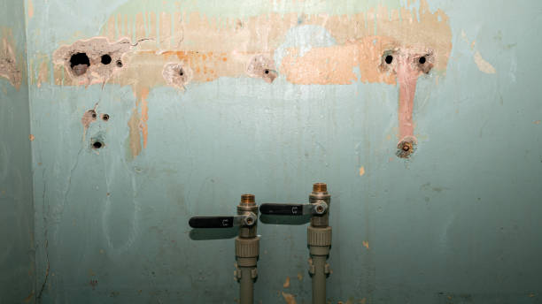  Mounds View, MN Water damage restoration Pros