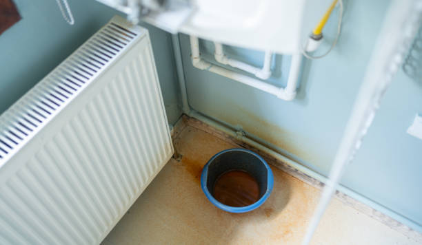 Best Commercial water damage restoration  in Mounds View, MN