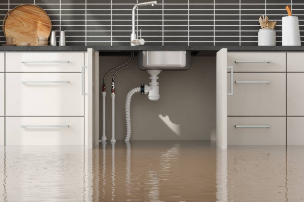 Best Water damage repair service  in Mounds View, MN