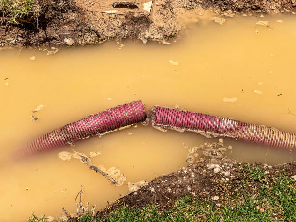 Best Emergency water extraction  in Mounds View, MN