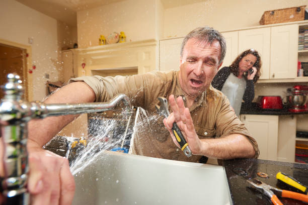 Best Basement water damage restoration  in Mounds View, MN